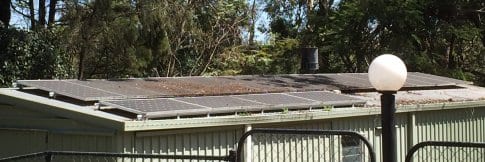 Solar panels shaded by tree