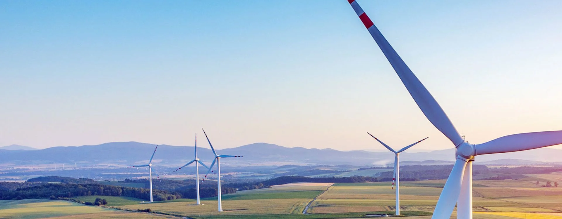 Wind turbines in a field at sunset, representing green energy and sustainable power.